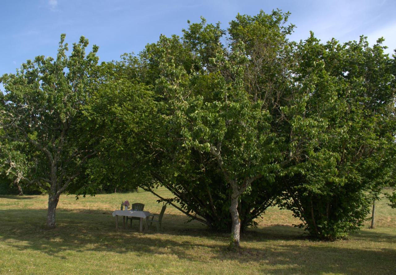 Perigourdine Avec Spa Et Vue Pomport Buitenkant foto